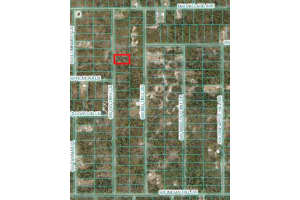 Tbd Sw Fig Tree Ln, DUNNELLON