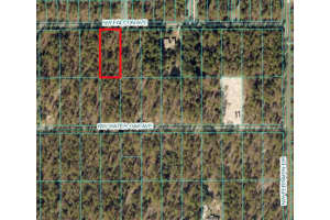 Tbd Nw Falcon Ave, DUNNELLON