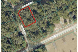 Tbd Locust Drive Trl, OCALA