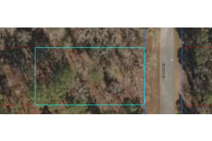 Lot 5 Se 134th Ter, DUNNELLON