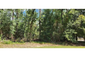Tbd Sw 93rd Lane, DUNNELLON