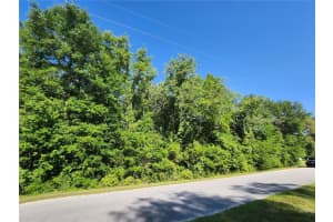 Tbd Sw Yazoo Ct, DUNNELLON