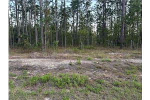 Lot 3 Nw Amberjack Ave, DUNNELLON