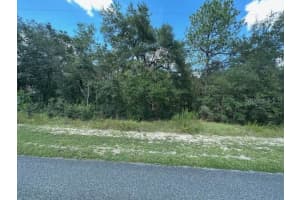 920 W Rum Pl, DUNNELLON