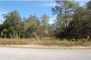 Lombardy Ln, DUNNELLON