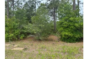 Sw Floral Court Lot 12, DUNNELLON