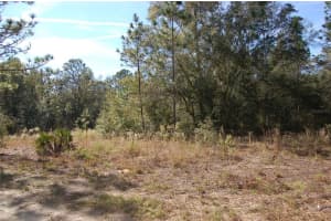 Tdb Sw 29 Pl, OCALA