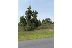 Tbd Sw 129th Lane, OCALA