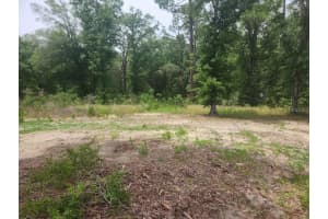 Lot 10 Sw 134 Ter, OCALA
