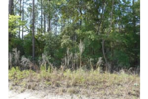 Sw 51st Ln, DUNNELLON