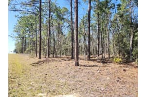 Lot 12 Sw 66th St, OCALA