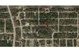 2333 W Chamberlain St, DUNNELLON