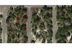 6704 N Founder Ter, DUNNELLON
