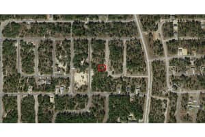 6682 N Sand Dr, DUNNELLON