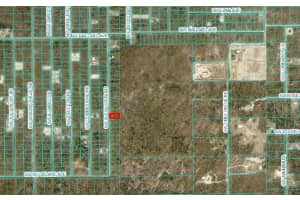 0 Sw Buena Vista Rd, DUNNELLON