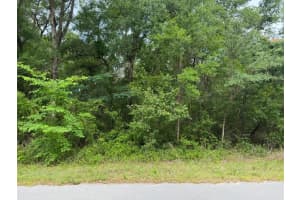 Lot 14 Sw Chanel Heights Ct, DUNNELLON