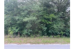 Lot 422 & 423 Sw Shorewood Dr, DUNNELLON