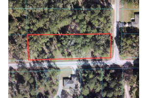 0 Sw 199 Ter, DUNNELLON