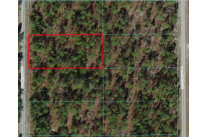 0 Nw Smallwood Rd, DUNNELLON