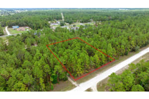 Sw 64 St, OCALA