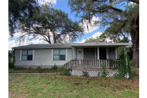 6595 Se 139th St, SUMMERFIELD