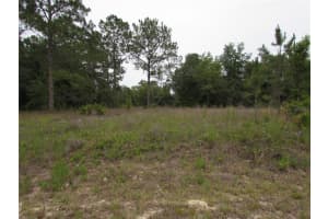 Lot 40 Sw South Wind Ct, DUNNELLON