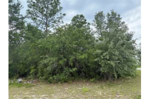 Tba Sw 138th Ln, OCALA