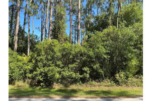 87 Eric Dr, PALM COAST