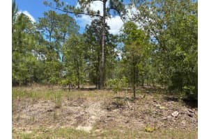 Tbd Sw Southview Ct, DUNNELLON