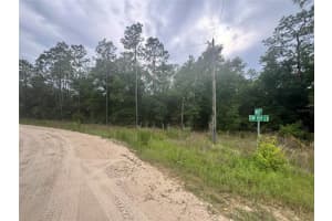 Tbd Sw 159 Ct, OCALA