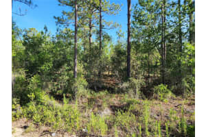 Sw Edgewater, DUNNELLON