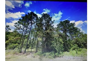 0 Sw 135th Loop, OCALA