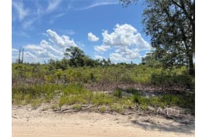 0 Sw 157 Ln, DUNNELLON
