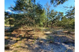 Lot 4 Sw Paradise Heights Rd, DUNNELLON