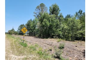 Lot 1 Sw Pine Bluffs Rd, DUNNELLON