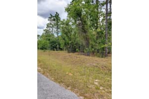 Pony Ridge Dr, DUNNELLON