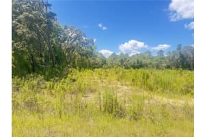Tbd Sw 91 Ln, DUNNELLON