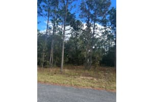 Tbd Locust Loop Place Lot 7, OCALA