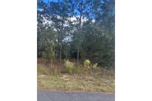 Tbd Locust Loop Place Lot 8, OCALA