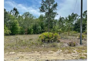 00 Sw South Haven Ct, DUNNELLON