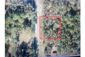118th Terr, OCALA