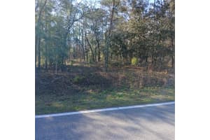 Tbd Nw Ridgewood Rd, DUNNELLON