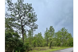 0 Nw Water Oak Ave, DUNNELLON