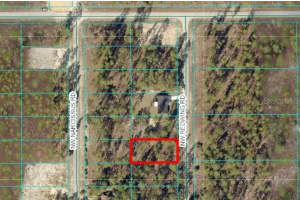 Tbd Nw Redwing Rd, DUNNELLON