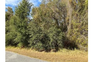 Spruce Ter, OCALA