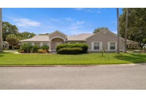 705 Guava Dr, ST AUGUSTINE