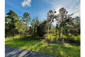Lot 24 Se 136 Ter, DUNNELLON