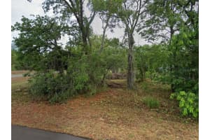 1 Woodash Ct, HOMOSASSA
