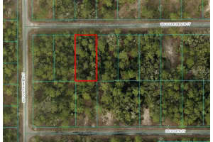 Lot#11 Sw South Beach Ct, DUNNELLON