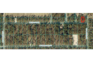 Tbd Nw Falcon Ave, Lot 33, DUNNELLON